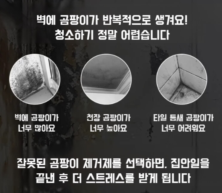 곰팡이제거